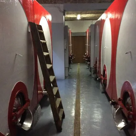 Farm stay Ca Del Nono San Marzano Oliveto