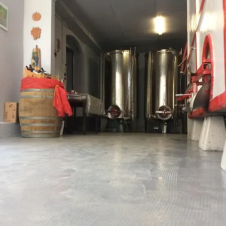 Ca Del Nono * San Marzano Oliveto